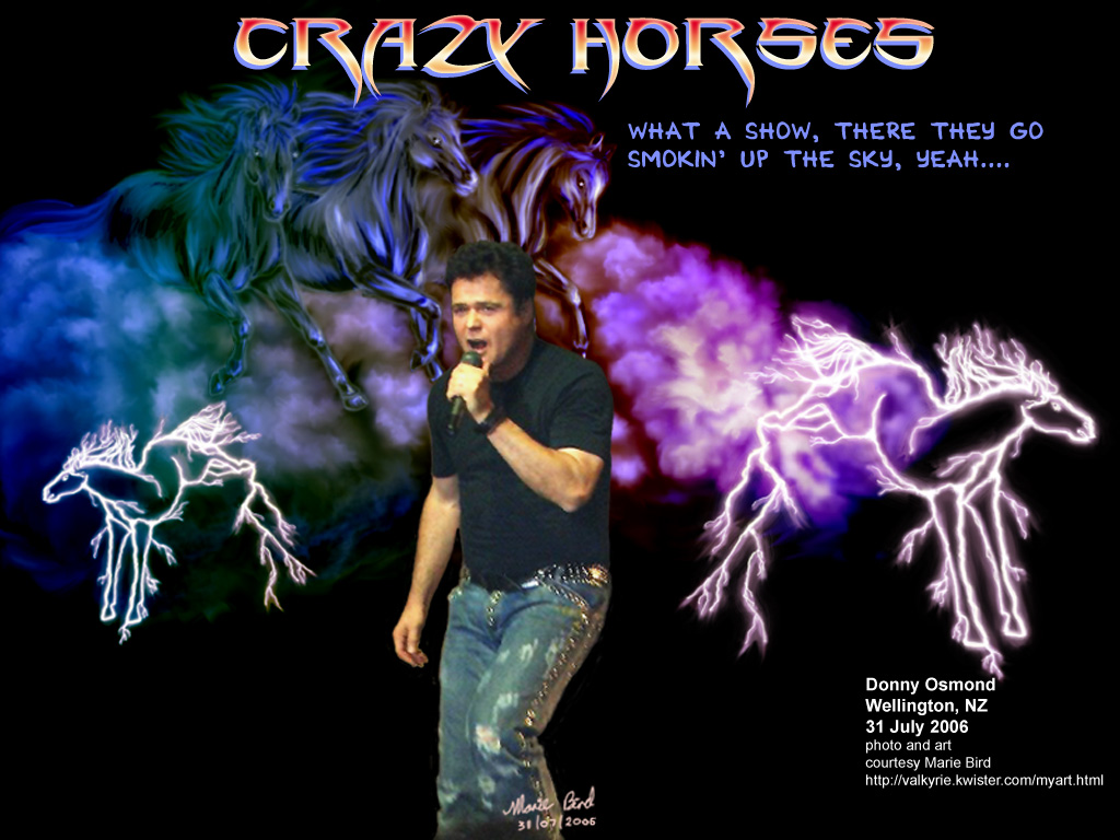 My Donny Osmond Wallpapers and artwork My Donny Osmond Wallpapers and artwork