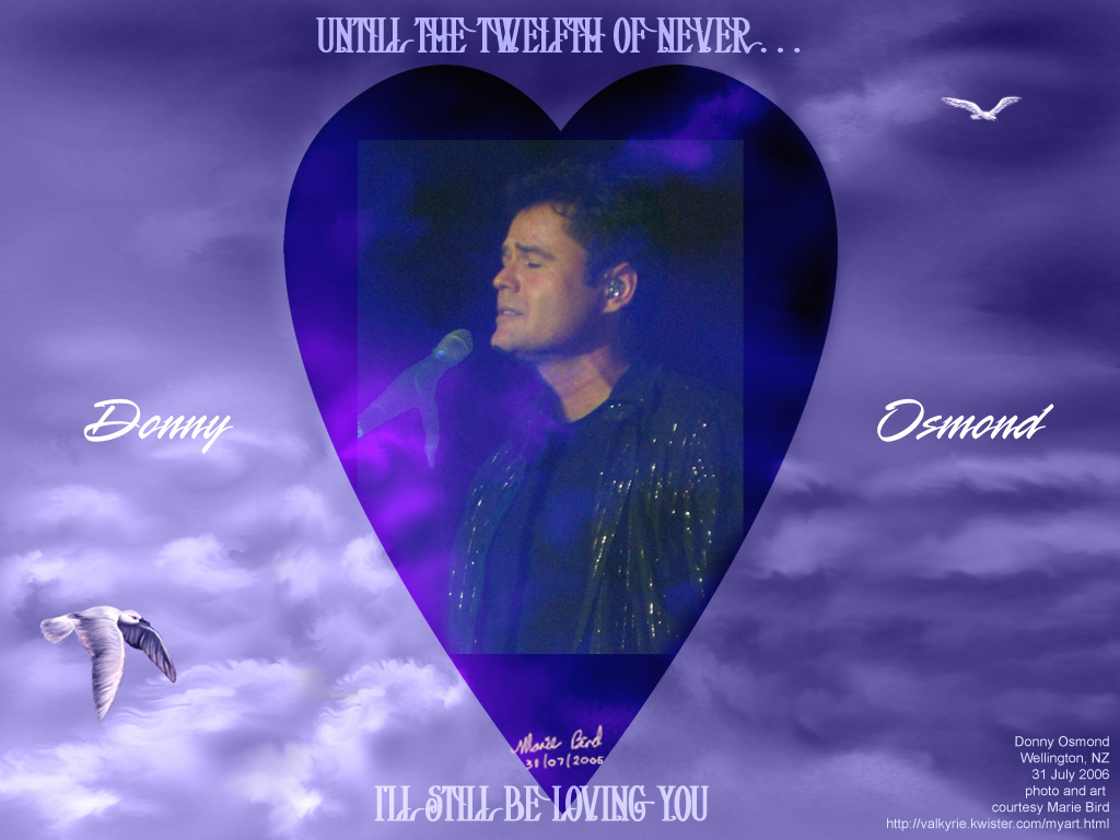 Twelfth Of Never